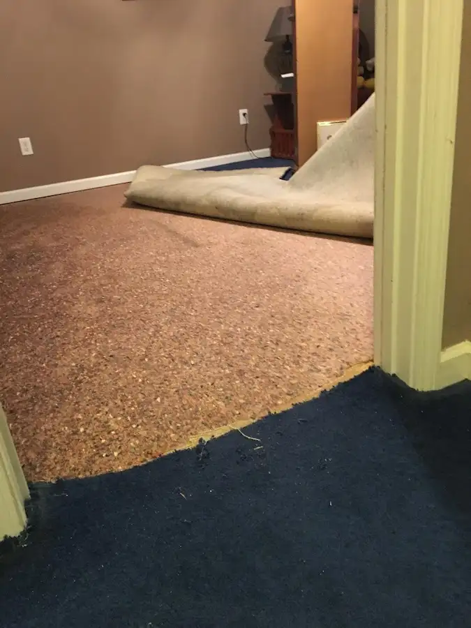 Carpet pad removal revealing water damage during Drying & Dehumidification in Hinsdale