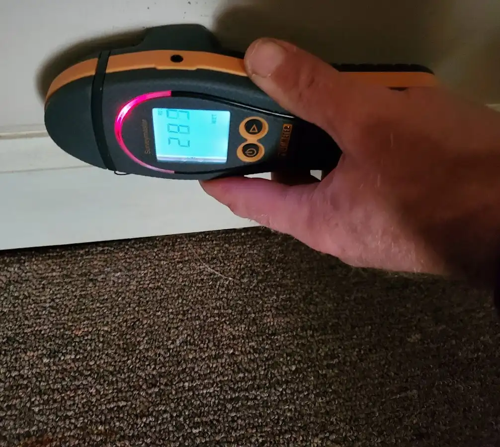 Moisture detection at baseboard during Mold Inspection & Testing in Hinsdale
